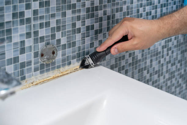 Best Mold Testing and Inspection Services in Haviland, NY